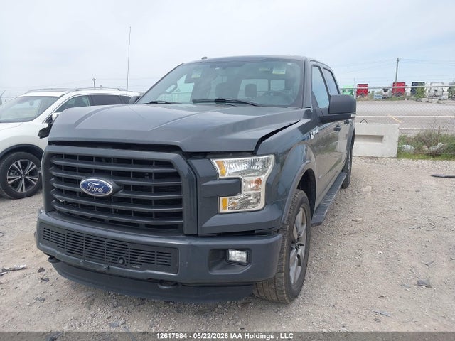 1FTEW1EG6GFC91577 Ford F-150 Xlt