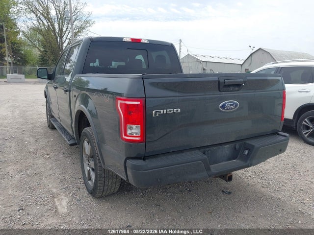 1FTEW1EG6GFC91577 Ford F-150 Xlt