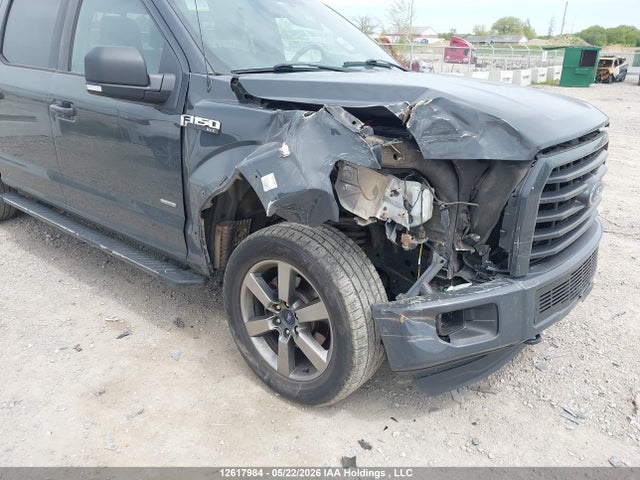 1FTEW1EG6GFC91577 Ford F-150 Xlt