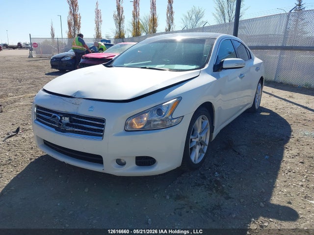 Aukcja sprzedaży 2009 Nissan Maxima 3.5 S, vin: 1N4AA51E39C859478, numer aukcji: 12616660