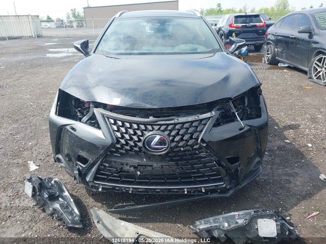 JTHL9JBHXM2050098 Lexus UX 250H