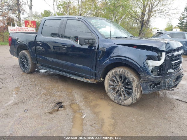 Продажа на аукционе авто 2024 Ford F-150 Xlt, vin: 1FTEW3LP0RFA07880, номер лота: 12618308