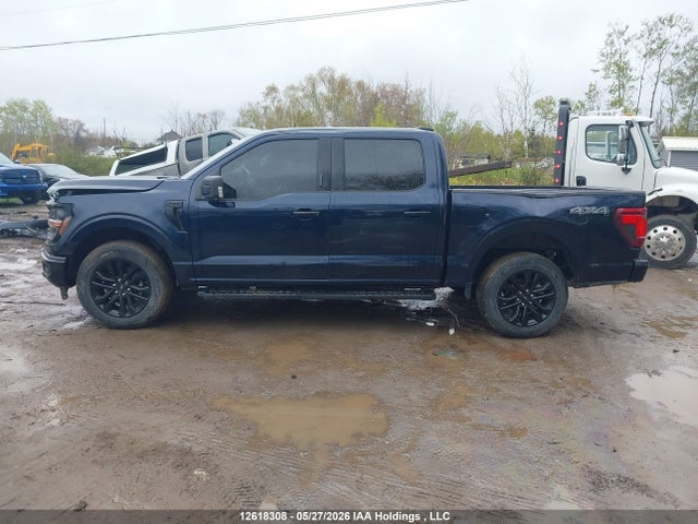 Продаж на аукціоні авто 2024 Ford F-150 Xlt, vin: 1FTEW3LP0RFA07880, номер лоту: 12618308