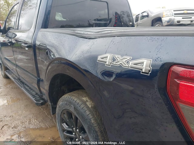 Продаж на аукціоні авто 2024 Ford F-150 Xlt, vin: 1FTEW3LP0RFA07880, номер лоту: 12618308
