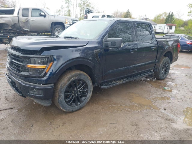 Продаж на аукціоні авто 2024 Ford F-150 Xlt, vin: 1FTEW3LP0RFA07880, номер лоту: 12618308