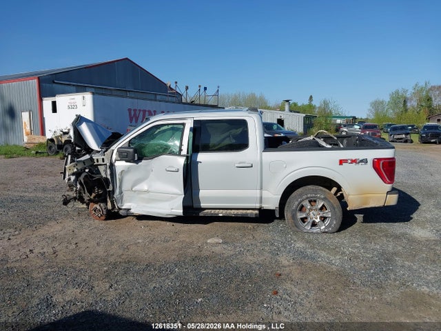 Продаж на аукціоні авто 2021 Ford F-150 Xlt, vin: 1FTFW1E58MKD42826, номер лоту: 12618351