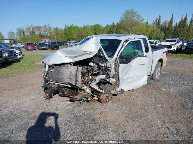 Продаж на аукціоні авто 2021 Ford F-150 Xlt, vin: 1FTFW1E58MKD42826, номер лоту: 12618351