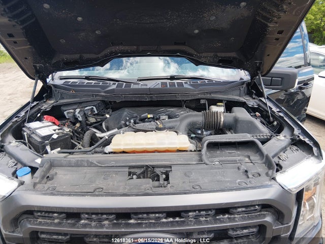 Ford F-150 Xlt 2023 1FTEW1EP6PKF63634 Image 10