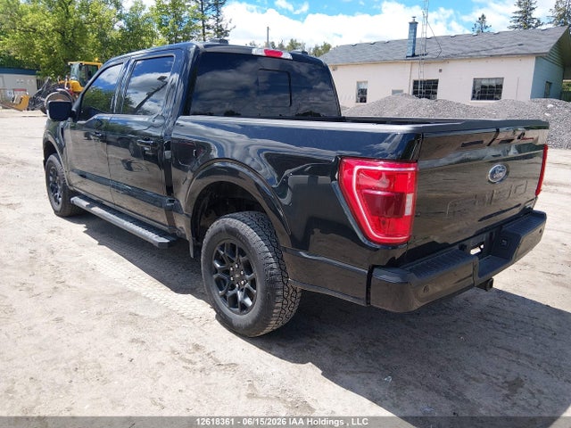 Ford F-150 Xlt 2023 1FTEW1EP6PKF63634 Image 3