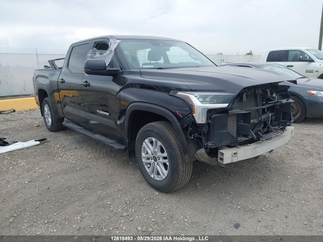 2023 Toyota Tundra Sr5 მანქანა იყიდება აუქციონზე, vin: 5TFLA5EC2PX018351, აუქციონის ნომერი: 12618493