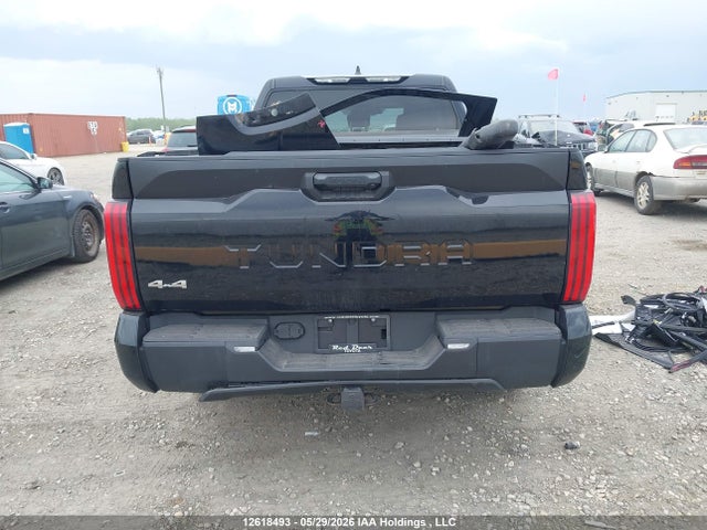 2023 Toyota Tundra Sr5 მანქანა იყიდება აუქციონზე, vin: 5TFLA5EC2PX018351, აუქციონის ნომერი: 12618493