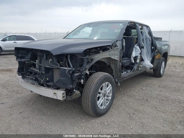 2023 Toyota Tundra Sr5 მანქანა იყიდება აუქციონზე, vin: 5TFLA5EC2PX018351, აუქციონის ნომერი: 12618493