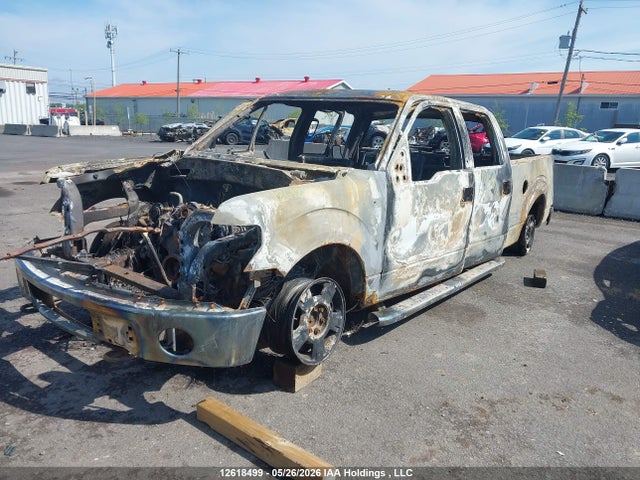 12618499 :رقم المزاد ، 1FTFW1EV3AFA38016 vin ، 2010 Ford F-150 Fx4/harley-davidson/lariat/xlt مزاد بيع