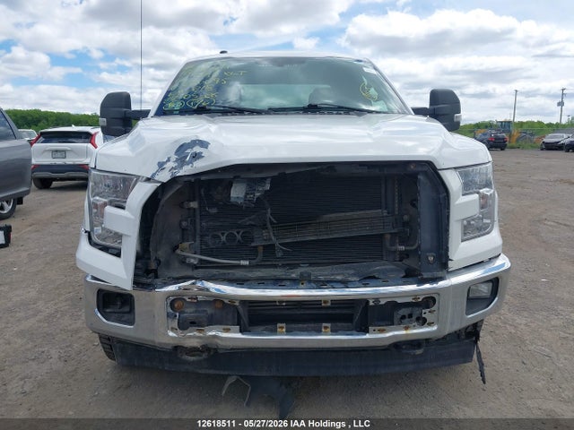 Auction sale of the 2017 Ford F-150 Xlt, vin: 1FTFX1EG6HKE00095, lot number: 12618511
