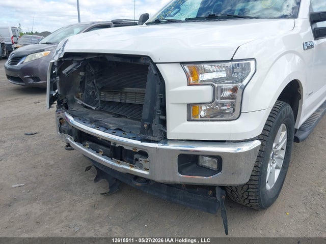 Auction sale of the 2017 Ford F-150 Xlt, vin: 1FTFX1EG6HKE00095, lot number: 12618511