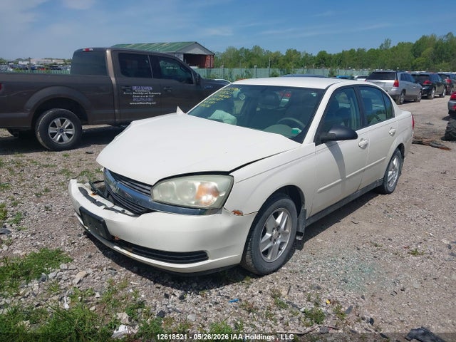 12618521 :رقم المزاد ، 1G1ZT52874F222027 vin ، 2004 Chevrolet Malibu Ls مزاد بيع