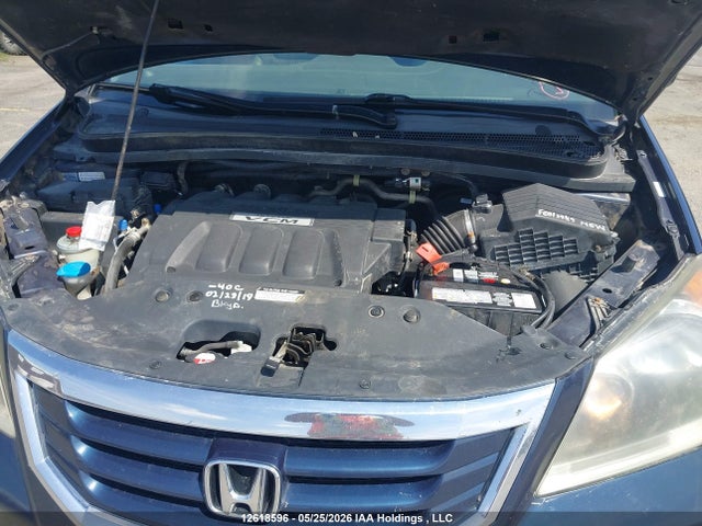 2009 Honda Odyssey Ex-l მანქანა იყიდება აუქციონზე, vin: 5FNRL38699B501265, აუქციონის ნომერი: 12618596