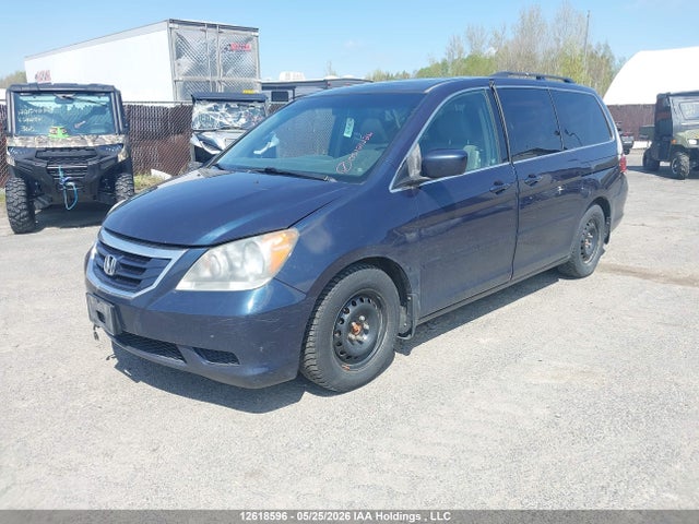 2009 Honda Odyssey Ex-l მანქანა იყიდება აუქციონზე, vin: 5FNRL38699B501265, აუქციონის ნომერი: 12618596