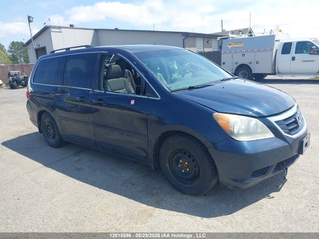 2009 Honda Odyssey Ex-l მანქანა იყიდება აუქციონზე, vin: 5FNRL38699B501265, აუქციონის ნომერი: 12618596
