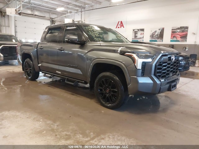 Aukcja sprzedaży 2023 Toyota Tundra Crewmax Sr/crewmax Sr5, vin: 5TFLA5DB5PX117142, numer aukcji: 12618678