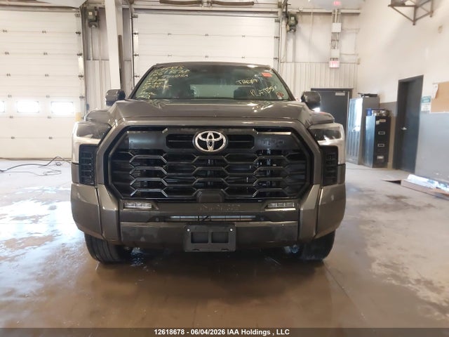 Aukcja sprzedaży 2023 Toyota Tundra Crewmax Sr/crewmax Sr5, vin: 5TFLA5DB5PX117142, numer aukcji: 12618678