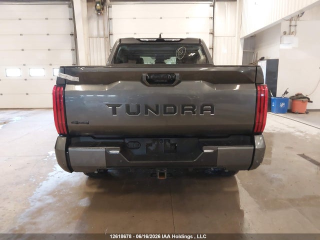 Aukcja sprzedaży 2023 Toyota Tundra Crewmax Sr/crewmax Sr5, vin: 5TFLA5DB5PX117142, numer aukcji: 12618678
