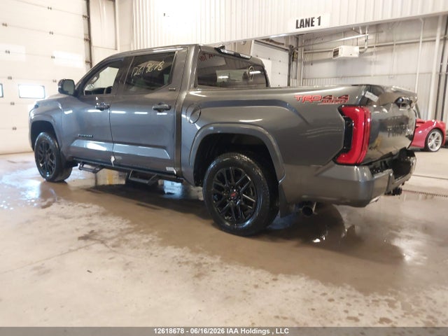 Aukcja sprzedaży 2023 Toyota Tundra Crewmax Sr/crewmax Sr5, vin: 5TFLA5DB5PX117142, numer aukcji: 12618678