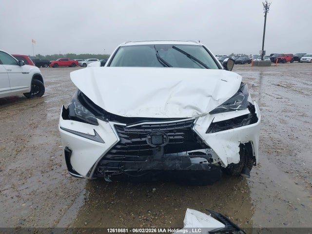 JTJHJRDZ3L5002505 Lexus Nx 300h Luxury