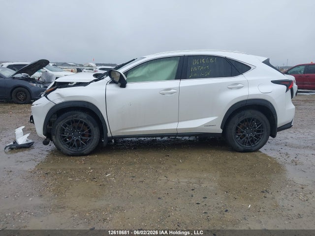 JTJHJRDZ3L5002505 Lexus Nx 300h Luxury