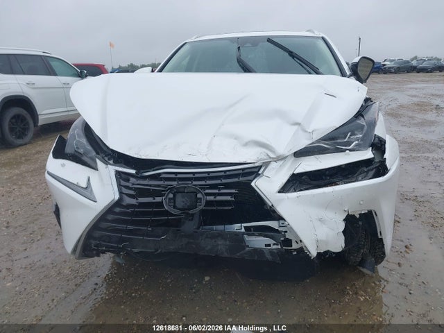 JTJHJRDZ3L5002505 Lexus Nx 300h Luxury