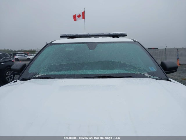 Продажа на аукционе авто 2024 Ford Explorer Police Interceptor, vin: 1FM5K8AW0RGA73791, номер лота: 12618785