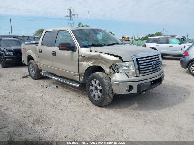 Продажа на аукционе авто 2010 Ford F150 Supercrew, vin: 1FTEW1E89AFC26495, номер лота: 12618897