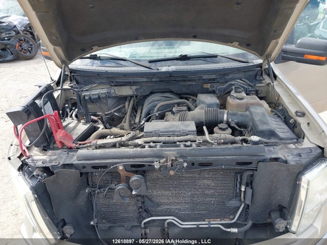 Продаж на аукціоні авто 2010 Ford F150 Supercrew, vin: 1FTEW1E89AFC26495, номер лоту: 12618897