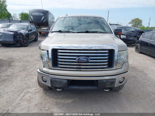 Продаж на аукціоні авто 2010 Ford F150 Supercrew, vin: 1FTEW1E89AFC26495, номер лоту: 12618897