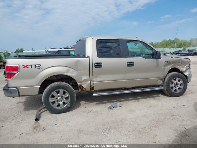 Продаж на аукціоні авто 2010 Ford F150 Supercrew, vin: 1FTEW1E89AFC26495, номер лоту: 12618897