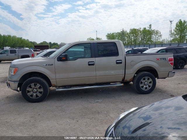 Продаж на аукціоні авто 2010 Ford F150 Supercrew, vin: 1FTEW1E89AFC26495, номер лоту: 12618897