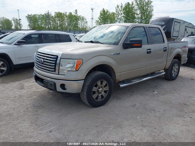 Продаж на аукціоні авто 2010 Ford F150 Supercrew, vin: 1FTEW1E89AFC26495, номер лоту: 12618897
