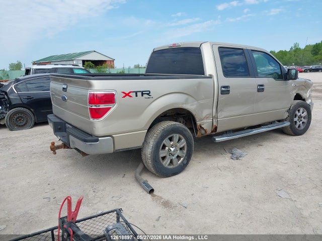 Продаж на аукціоні авто 2010 Ford F150 Supercrew, vin: 1FTEW1E89AFC26495, номер лоту: 12618897