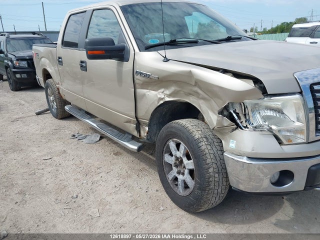 Продаж на аукціоні авто 2010 Ford F150 Supercrew, vin: 1FTEW1E89AFC26495, номер лоту: 12618897