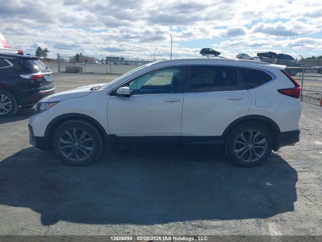2HKRW2H41LH229528 Honda Cr-v Sport