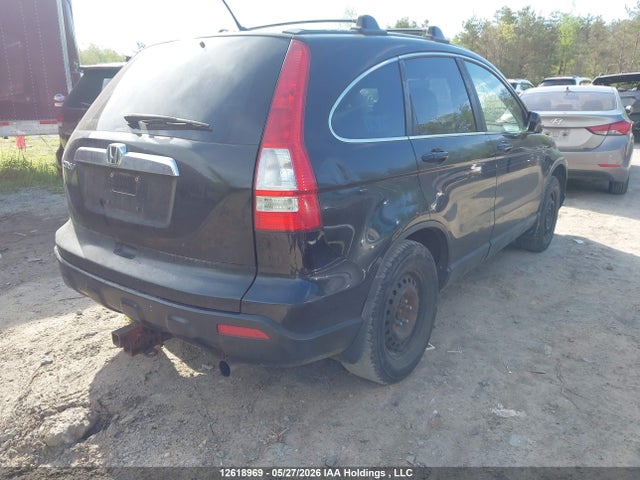 Продажа на аукционе авто 2009 Honda Cr-v Exl, vin: 5J6RE48749L809122, номер лота: 12618969