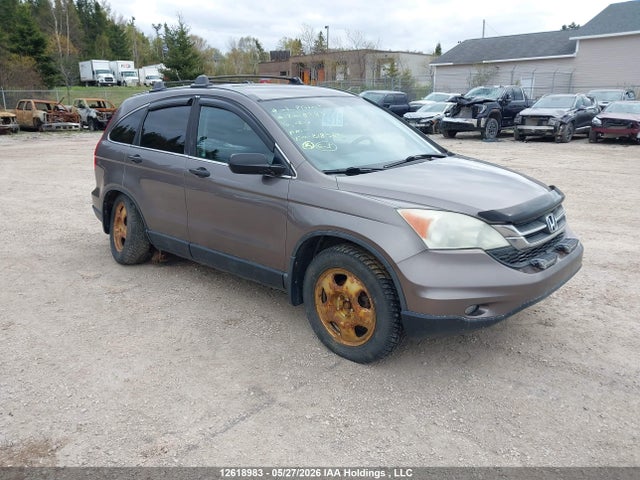 Auction sale of the 2010 Honda Cr-v Lx, vin: 5J6RE4H36AL818504, lot number: 12618983