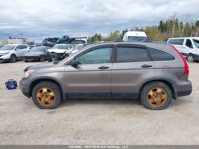 Продажа на аукционе авто 2010 Honda Cr-v Lx, vin: 5J6RE4H36AL818504, номер лота: 12618983