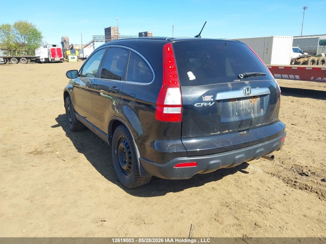 2009 Honda Cr-v Exl მანქანა იყიდება აუქციონზე, vin: 5J6RE48709L805455, აუქციონის ნომერი: 12619003