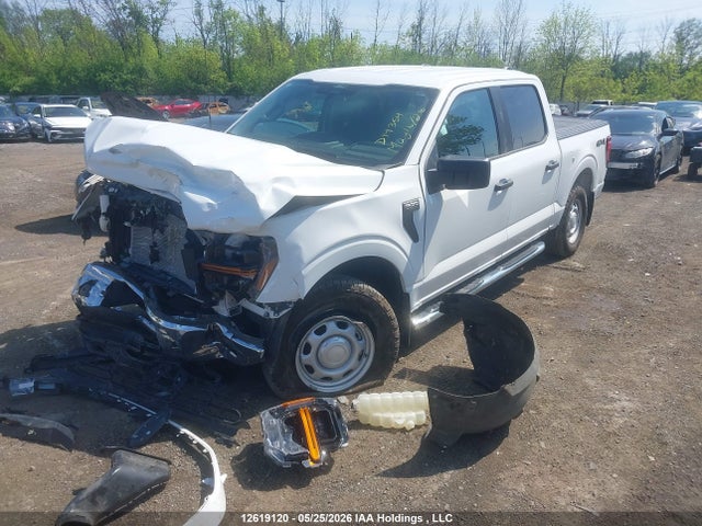 12619120 :رقم المزاد ، 1FTFW1L54RKD14354 vin ، 2024 Ford F-150 Xl مزاد بيع