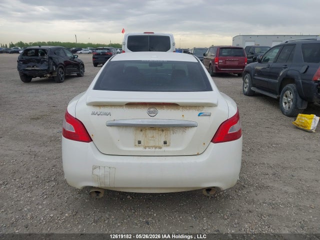 12619182 :رقم المزاد ، 1N4AA5AP1AC857783 vin ، 2010 Nissan Maxima S/sv مزاد بيع