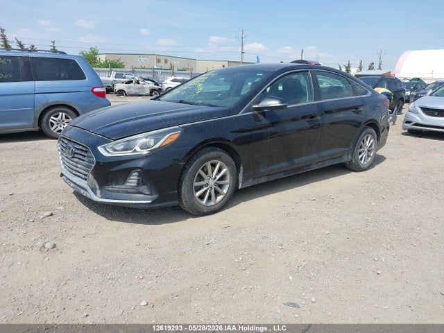 2019 Hyundai Sonata Se მანქანა იყიდება აუქციონზე, vin: 5NPE24AF8KH737639, აუქციონის ნომერი: 12619293