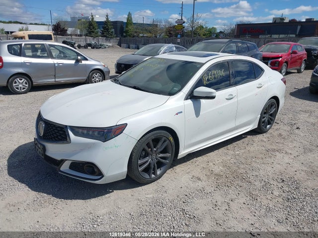 Aukcja sprzedaży 2019 Acura Tlx, vin: 19UUB1F62KA800083, numer aukcji: 12619346