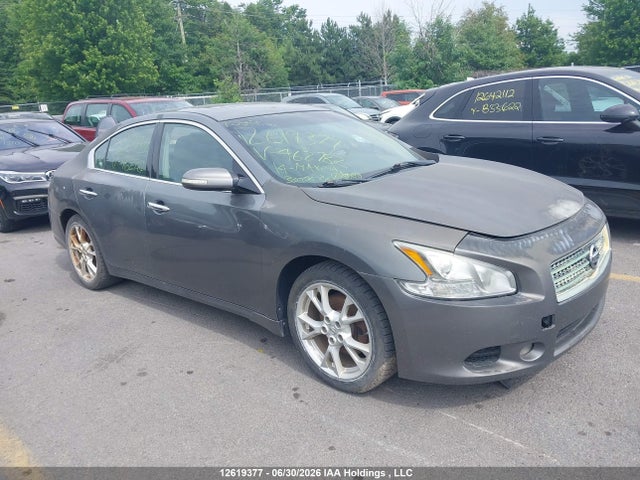 Nissan Maxima S/sv 2014 1N4AA5APXEC462782 головне зображення