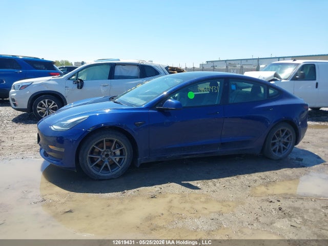 Tesla MODEL 3 2023 5YJ3E1EA0PF480218 Image 11